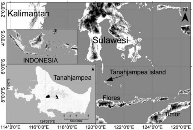 Lokasi Pulau Tanahjampea (Foto: jurnal Zootaxa)