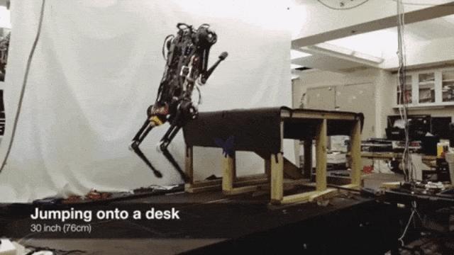 GIF Robot Cheetah 3 naik meja. (Foto: Massachusetts Institute of Technology)