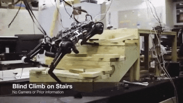 Robot Cheetah 3 naik tangga. (Foto: Massachusetts Institute of Technology)