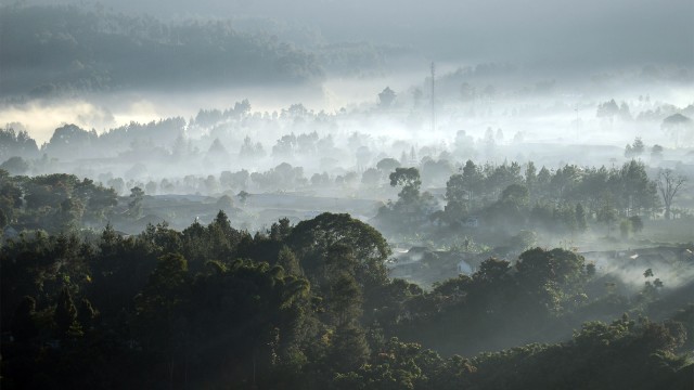 Pemandangan pedesaan yang tertutup kabut di Lembang. Foto: ANTARA FOTO/Raisan Al Farisi