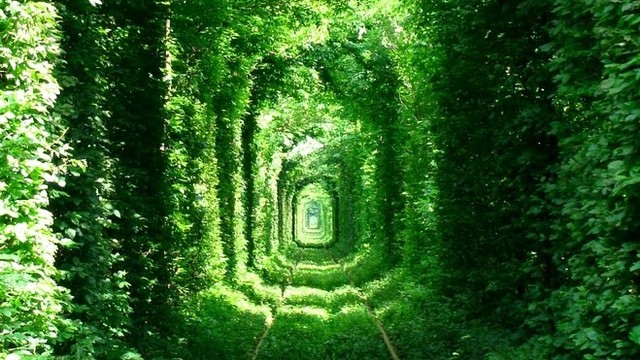 Tunnel of Love, Ukraina Foto: Wikimedia Commons