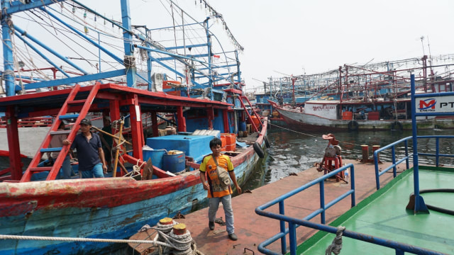 Diprotes Susi, 13 Kapal Eks Asing di Pelabuhan Muara Baru Akan Ditarik (308376)