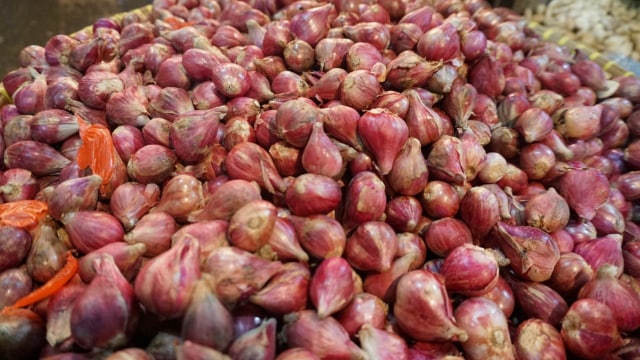 Ilustrasi bawang merah (Foto: Helmi/kumparan)