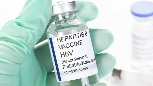 Hepatitis B Kandungan Dalam Vaksin Hepatitis B Dan Pencegahan Kumparan Com