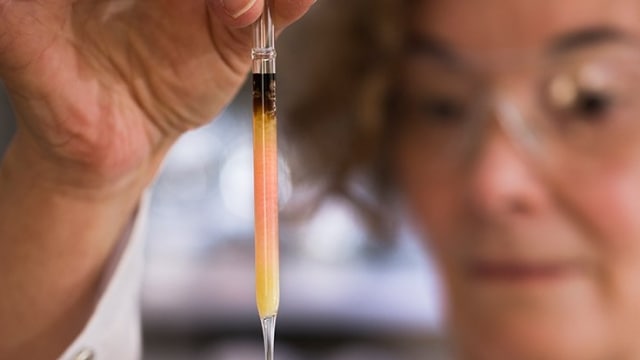 Peneliti Nur Gueneli memegang hasil temuan pigmen warna tertua di dunia. (Foto: Australian National University)