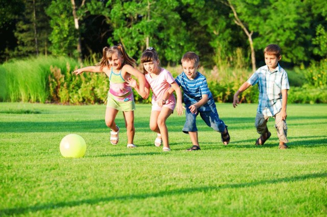 5 Rumput Hias Dekoratif yang Bisa Buat Tamanmu Lebih Cantik