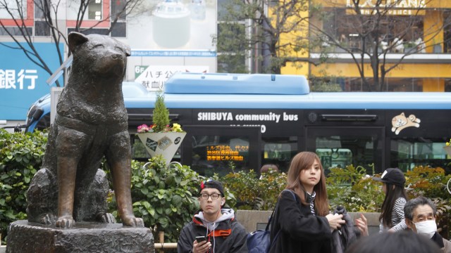 Patung Hachiko di Dekat Stasiun Shibuya. (Foto: Flickr/Derek Marshall)