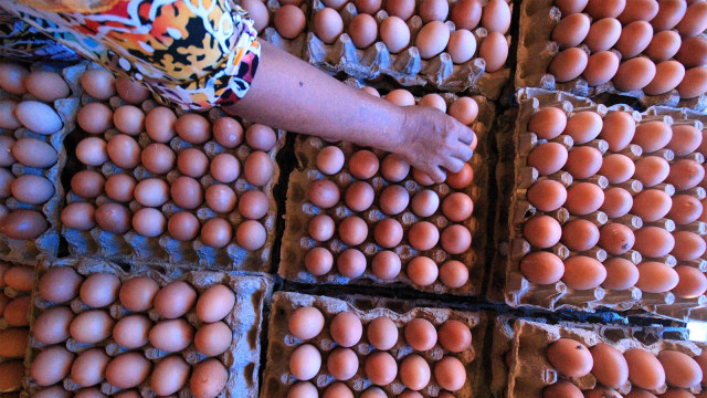 Pedagang menata telur ayam di salah satu agen telur, di Pasar Inpres. (Foto: ANTARA FOTO/Rahmad)