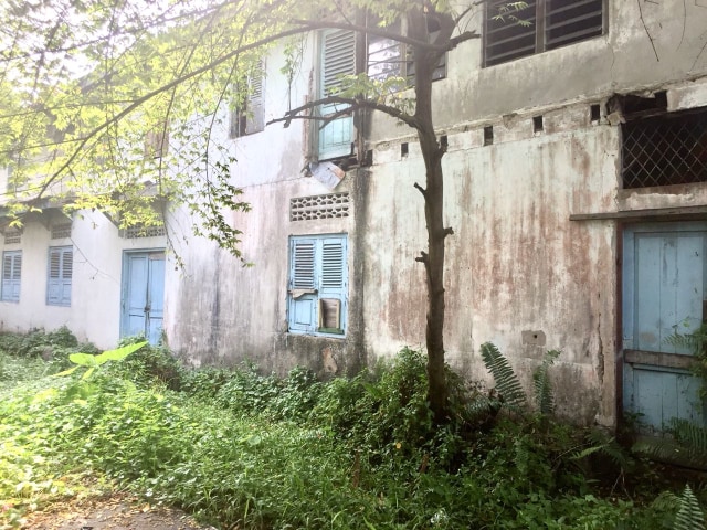 Kopi Kim Teng (Foto: Dok. Adisty Putri Utami/kumparan)