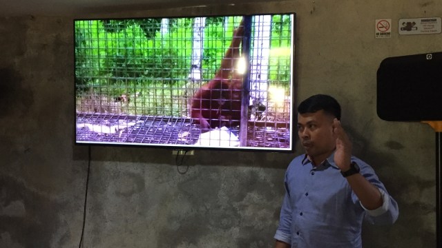 Direktur Yayasan Orangutan Sumatera Lestari-Orangutan Information Center (YOSL-OIC) Panut Hadisiswoyo (Foto: Ade Nurhaliza/kumparan)