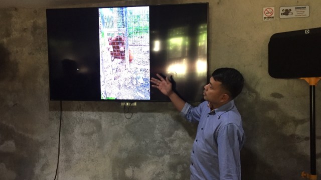 Direktur Yayasan Orangutan Sumatera Lestari-Orangutan Information Center (YOSL-OIC) Panut Hadisiswoyo (Foto: Ade Nurhaliza/kumparan)
