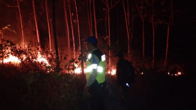 Kebakaran Hutan Kembali Terjadi di Bojonegoro (1)