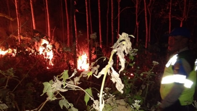 Kebakaran Hutan Kembali Terjadi di Bojonegoro (2)