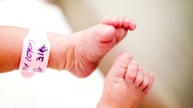 Bayi Kembar Tewas di Denpasar  Gara-gara Ditusuk dan Dibekap