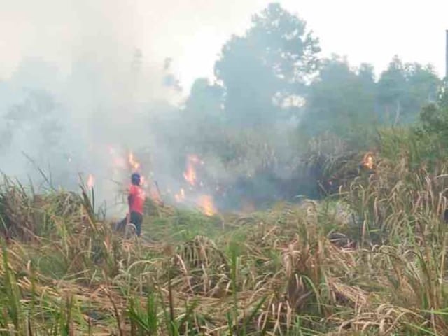 Ancaman Karhutla Masih Tinggi di Kalimantan Selatan