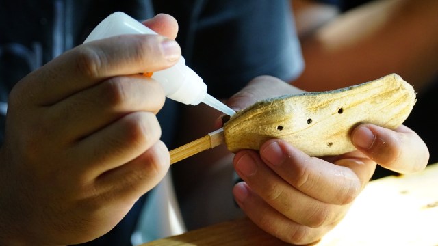 81 Gambar Alat Musik Ocarina Paling Keren 81 Gambar Alat Musik Ocarina Paling Keren