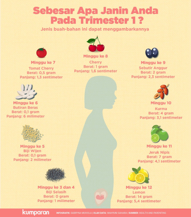Infografik mengenai janin. (Foto: Sabrina Muviola/kumparan)
