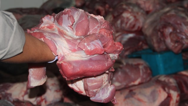 Daging celeng ilegal ditahan karantina Cirebon  (Foto: Kementan)