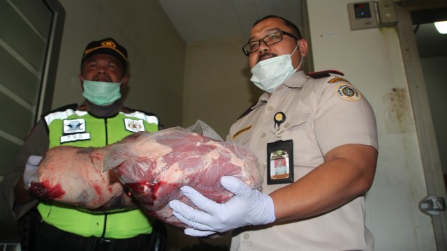 Daging celeng ilegal ditahan karantina Cirebon  (Foto: Kementan)