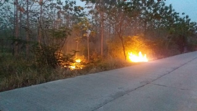 Lagi, Semak Belukar Hutan Jati di Ngasem Bojonegoro Terbakar (1)