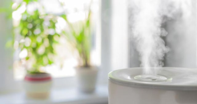 Ini Dia Perbedaan Humidifier dan Diffuser yang Perlu Sobat Shopee Ketahui (3)