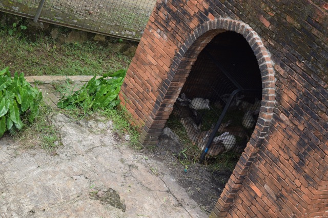 Tempat Wisata Edukasi, Selain Belajar Bisa juga Bermain (2)