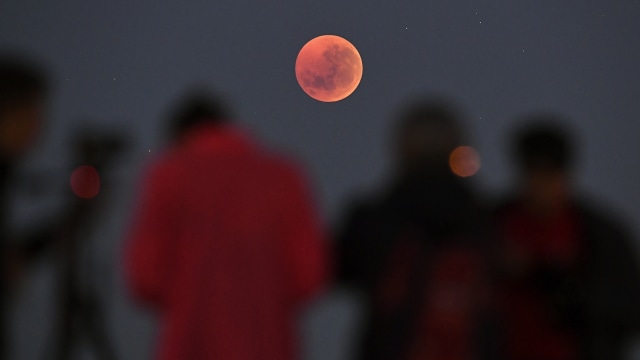Gerhana bulan total terlihat dari Melbourne, Australia (Foto: AFP/WILLIAM WEST)