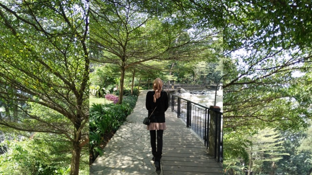 Cimory Riverside Wisata Yang Cocok Untuk Keluarga Kumparan Com Cimory Riverside Wisata Yang Cocok Untuk Keluarga Kumparan Com