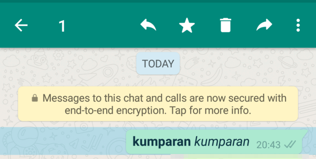 Membintangi pesan di WhatsApp. (Foto: Screenshots WhatsApp)