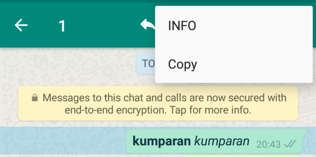 Detail pesan di WhatsApp. (Foto: Screenshots WhatsApp)