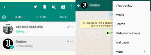 Mute Notifications di WhatsApp (Foto: Screenshots WhatsApp)