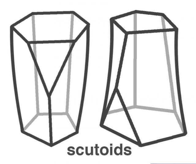 Scutoid, bentuk geometris baru di tubuh manusia (Foto: Luis M. Escudero (Seville University, Spain) et al/Nature Communications)