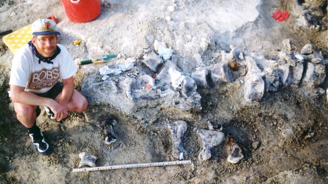 ekskavasi fosil kaki dinosaurus terbesar pada 1998  (Foto: KUVP archives)