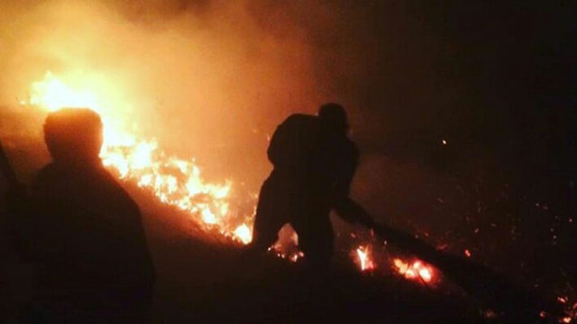 Kebakaran Gili Lawa Darat, Rabu (1/8). Foto: twitter/@KementerianLHK
