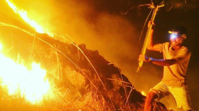 Kebakaran Gili Lawa Dara, Kamis (2/8). (Foto: twitter/@KementerianLHK)