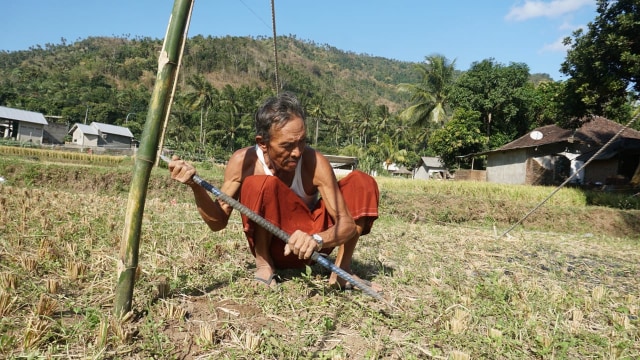 Seorang warga membersihkan rumput di lahan sawah untuk dijadikan tempat pengungsian di Desa Menggala, Kec. Pemenang, Kab. Lombok Utara, NTB, Senin (6/8). (Foto: Jamal Ramadhan/kumparan)