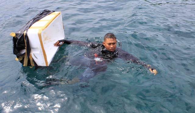92.480 Bibit Lobster Dilepasliarkan di Kawasan Pulau Pandan (1)