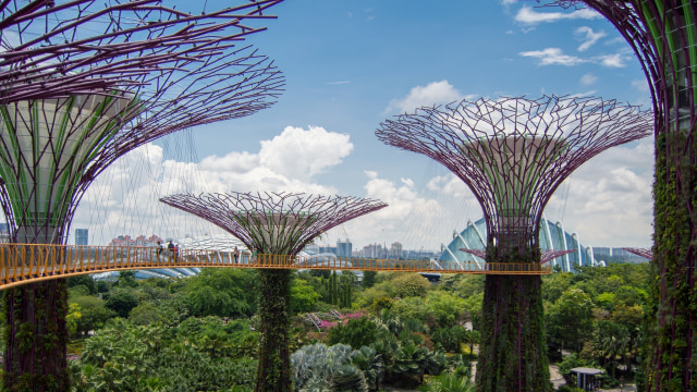 Gardens by the Bay (Foto: Flickr/Ellie Shultz)