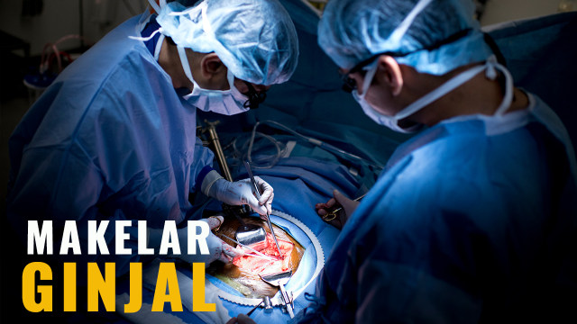 Suasana operasi laparoskopi selama transplantasi ginjal di Rumah Sakit. (Foto: AFP PHOTO/Brendan Smialowski)