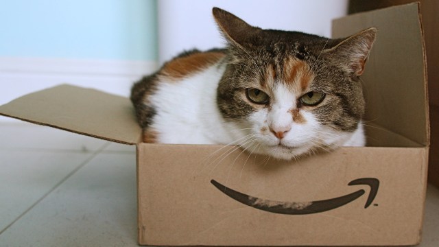 Kucing suka kardus (Foto: Amazon cat/Flickr)