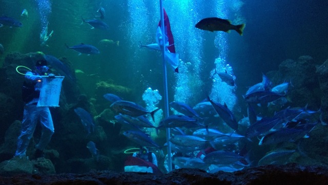 Pembacaan proklamasi di Main Aquarium Seaworld, Jumat (10/8). (Foto: Helinsa Rasputri/kumparan)