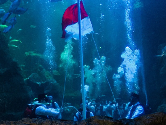 Prosesi pengibaran bendera di Main Aquarium Seaworld bersama Marsha Aruan, Jumat (10/8). (Foto: Helinsa Rasputri/kumparan)
