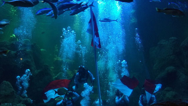 Upacara pengibaran bendera di Main Aquarium Seaworld, Jumat (10/8). (Foto: Helinsa Rasputri/kumparan)