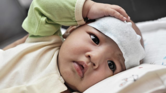 Ilustrasi Bayi Dikompres (Foto: Shutterstock)