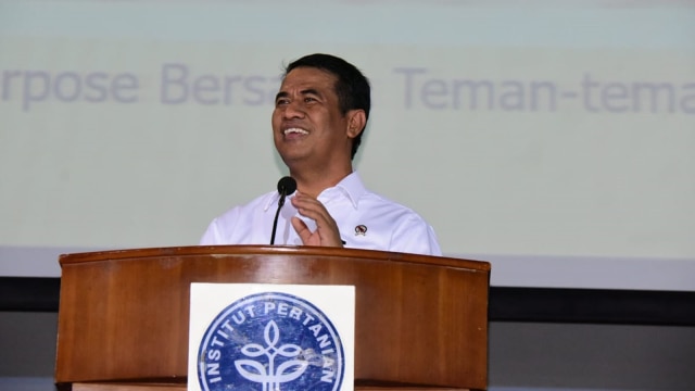 Mentan Amran Sulaiman. (Foto: Elsa Olivia Karina L Toruan/kumparan)