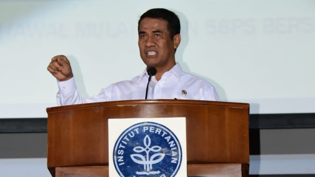 Mentan Amran Sulaiman. (Foto: Elsa Olivia Karina L Toruan/kumparan)