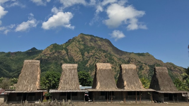 Atap rumah adat di Kampung Adat Gurusina terbuat dari alang-Alang. (Foto: Flickr/Papachongo74)