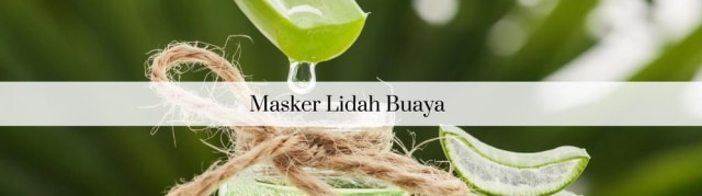 Goodbye Rambut Rontok! Semua Bisa Teratasi Dengan Perawatan Masker Buatan Sendiri! (1)