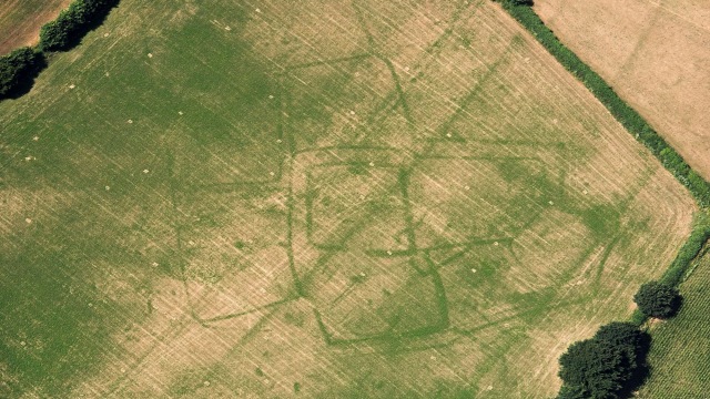 Cropmarks atau tanda yang memperlihatkan bekas situs arkeologi di Inggris. (Foto: Roman Farm, Bicton, Devon via Historic England)