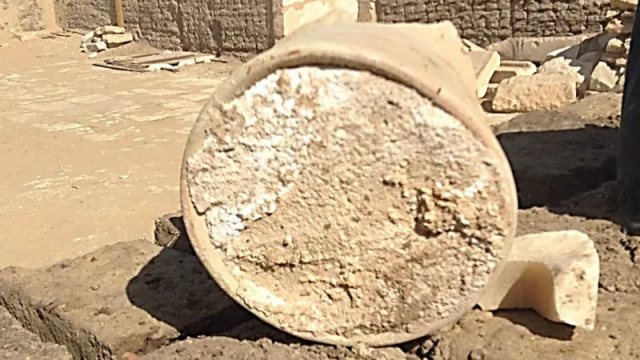 Penemuan keju berusia 3.200 tahun. (Foto: University of Catania dan Cairo University)